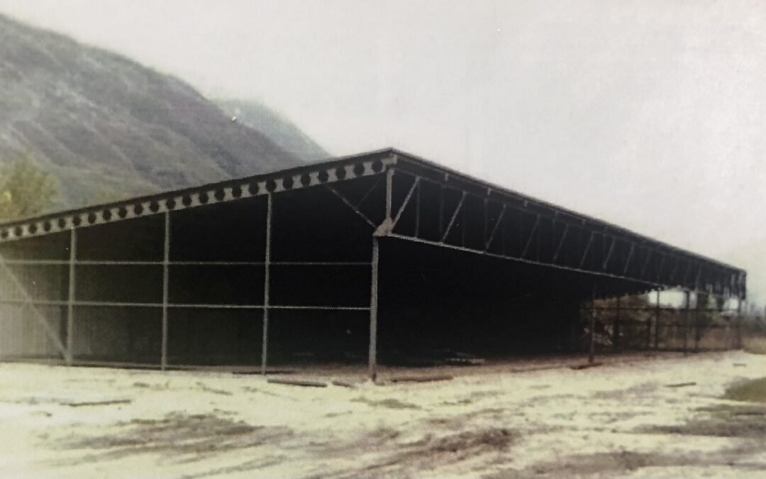 Costruzione hangar 1974